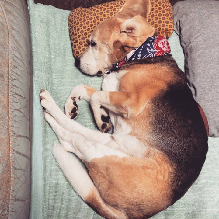 Feeac478 4aef 4994 bef0 766e5ee28be5 1563976249001