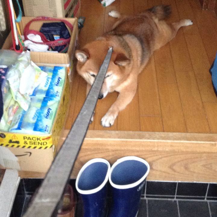 Feeaf5ba d456 4599 97dc 9012979cf1bd 1538468998443