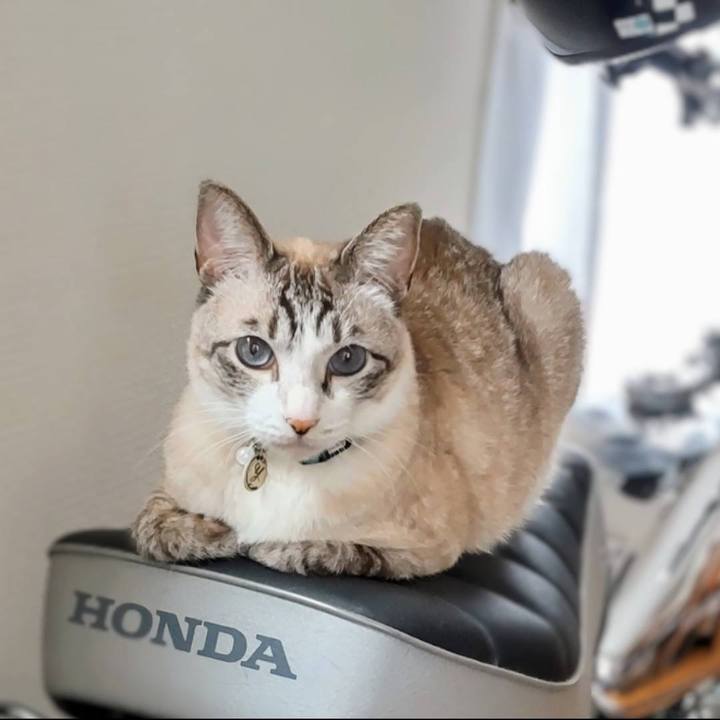 Feeb0623 f640 4d62 8e53 99ef6493971a 1668685188984