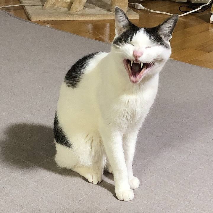 Feeb0d03 a946 4ae2 97ac b3ec77127f12 1650017285631