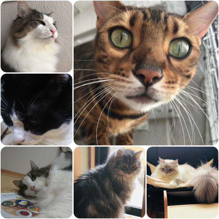 Feeb1667 1545 40f7 a584 57f02633f747 1567242376083