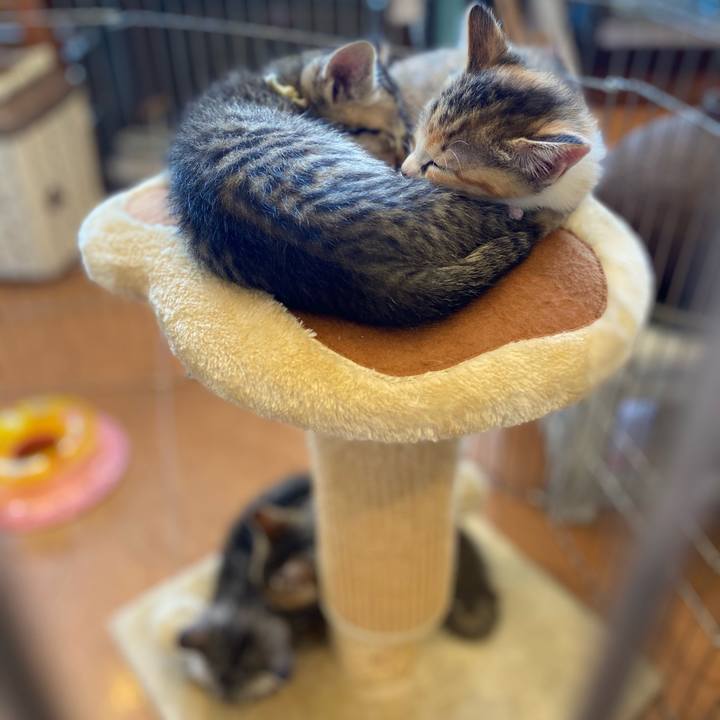 Feeb73db d198 45d9 ac2d 0d5b3b2d2670 1621665939166