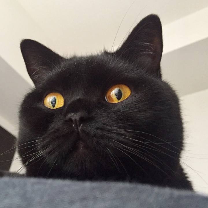 Feebc72f 14ca 47d4 b043 ba01b9529298 1562368503788