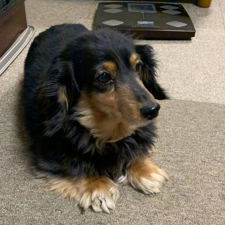 Feebcb09 ace9 4398 b96e 283d273c59a4 1580161848623