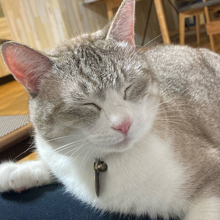 Feebceae ca6f 4ece b5eb f15fa159f349 1634208906631