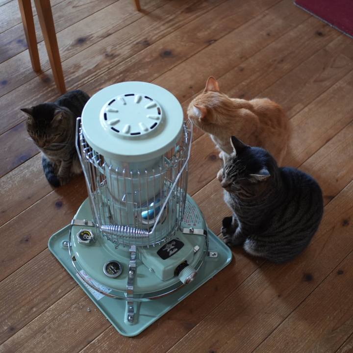 Feec08d6 8291 4cb6 9b69 fcfc3782572d 1736638976473