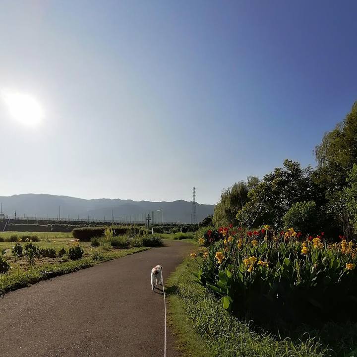 Feec12b9 71b8 4056 9361 12c87b8b90fc 1596238711480