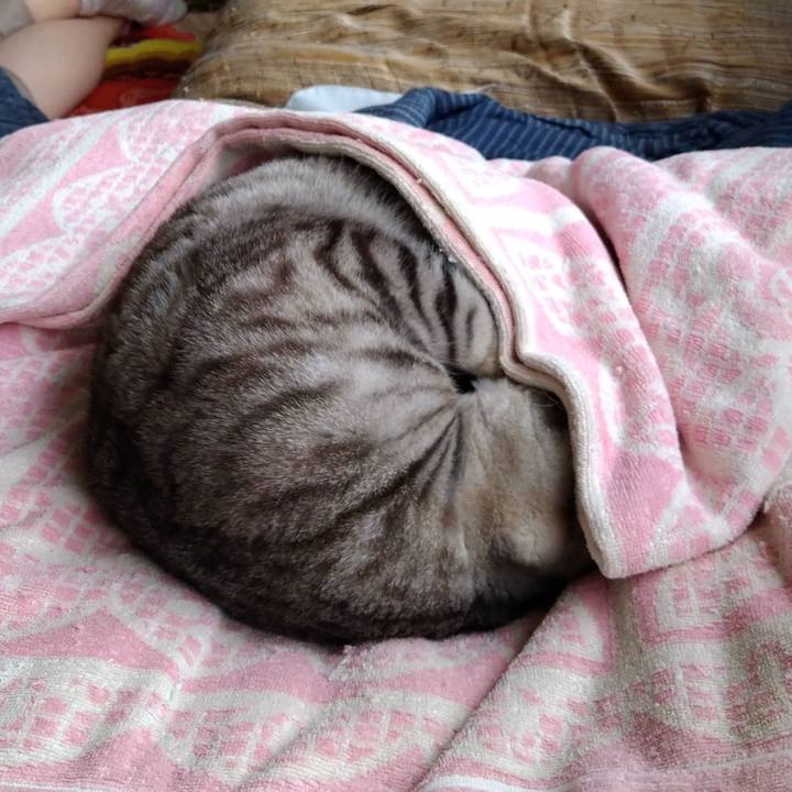 Feec1766 b37e 4dc3 9905 eed9f8f725f2 1675689793980