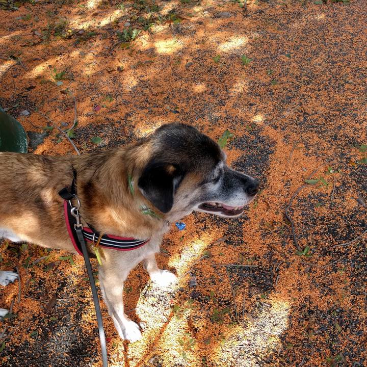 Feec4e40 93a7 48d5 8676 dccfa6acd84c 1538372331201