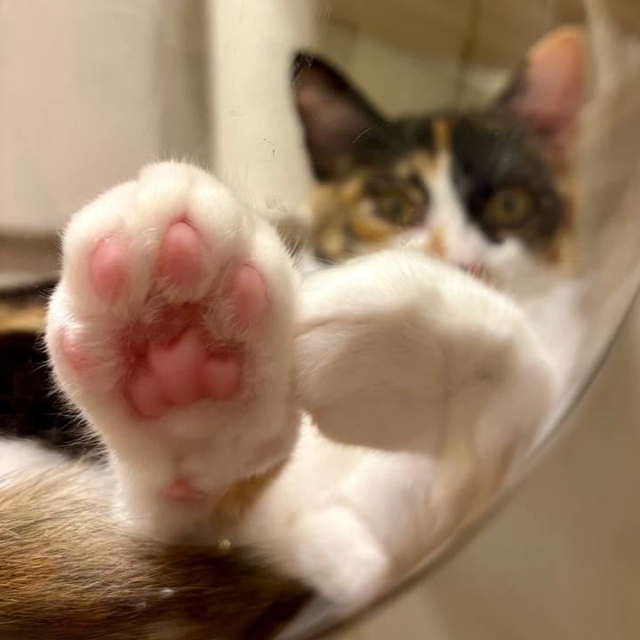 Feec52cf 5dec 4ae7 8ec7 659bd6f70343 1758462956973