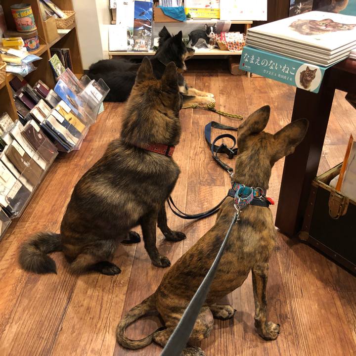 Feeca533 fc6a 467e 8298 0578caad40d8 1571528984613