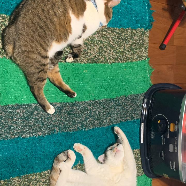 Feecd1eb 9636 4350 8c32 cc1e063a2dc5 1613481336783