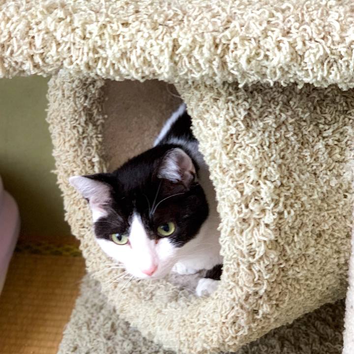 Feecfdfc 6cdb 4b11 a4f6 70a013fa97af 1594259161362