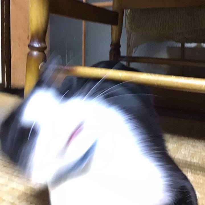 Feed03af 6341 4091 b349 a610bb12c7ad 1684672410878