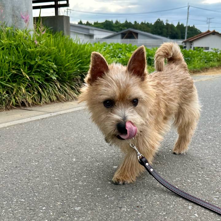 Feed1b71 024f 44d3 92bc e1a96a039c6f 1716644358431