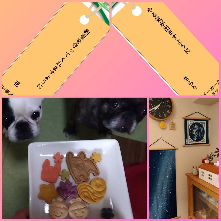 Feed1dbd 3d1d 42b2 9235 0fdcbc2bfa0c 1720358141330