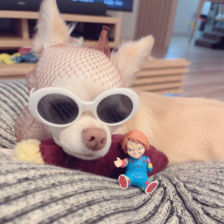 Feedb076 bde4 40e1 a62a 348136532010 1695195765337