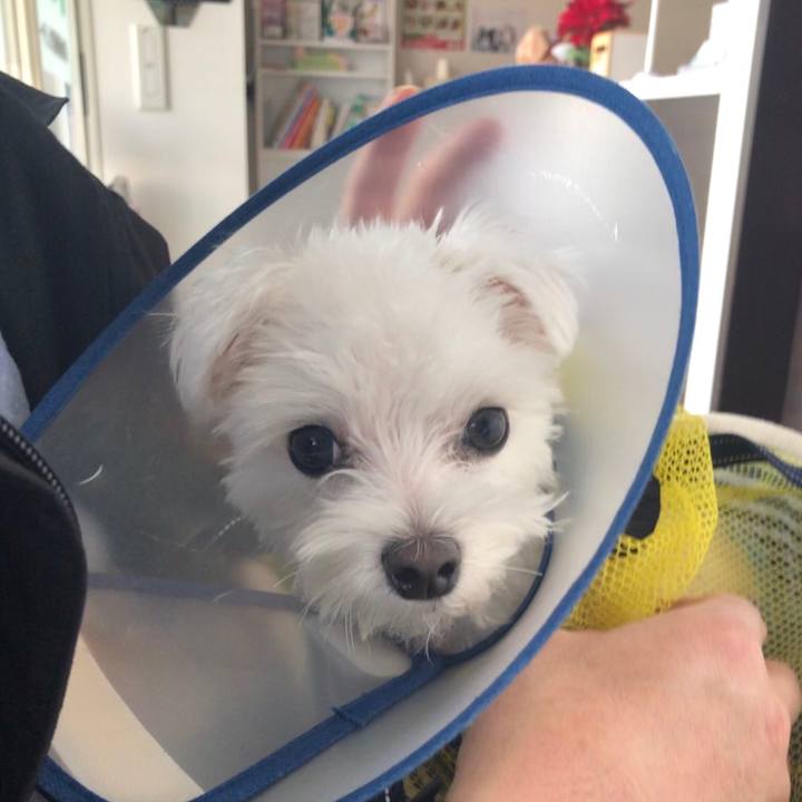 Feedb3c8 ffd8 4586 b66f 98347a3baaba 1544260712118