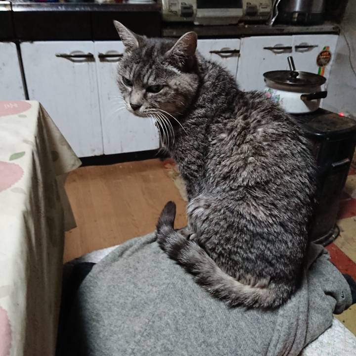 Feedc4d6 cb27 4e81 8e84 59639bd49de3 1576876897211