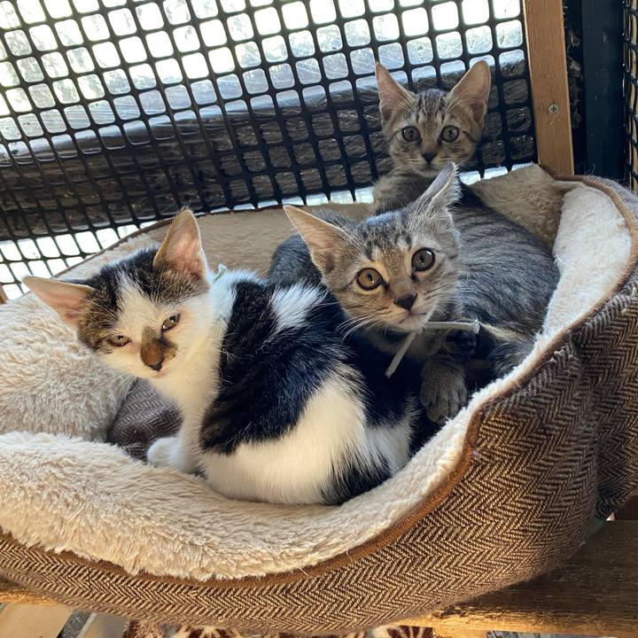 Feede832 dbfd 4d5d a759 166b59d8cf20 1601946393493