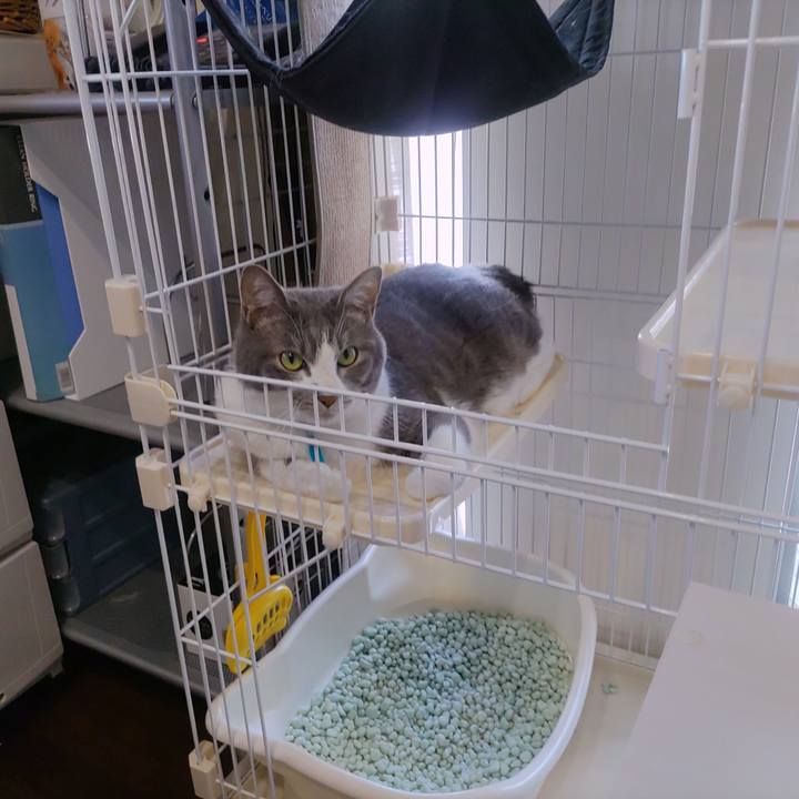 Feedf13b 302f 49a4 8b2d 1b4a3b382179 1653202226524