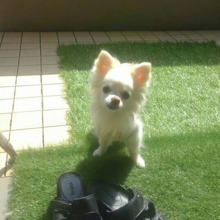 Feee6899 e235 440f 9951 578cb5048d2e 1522337274622