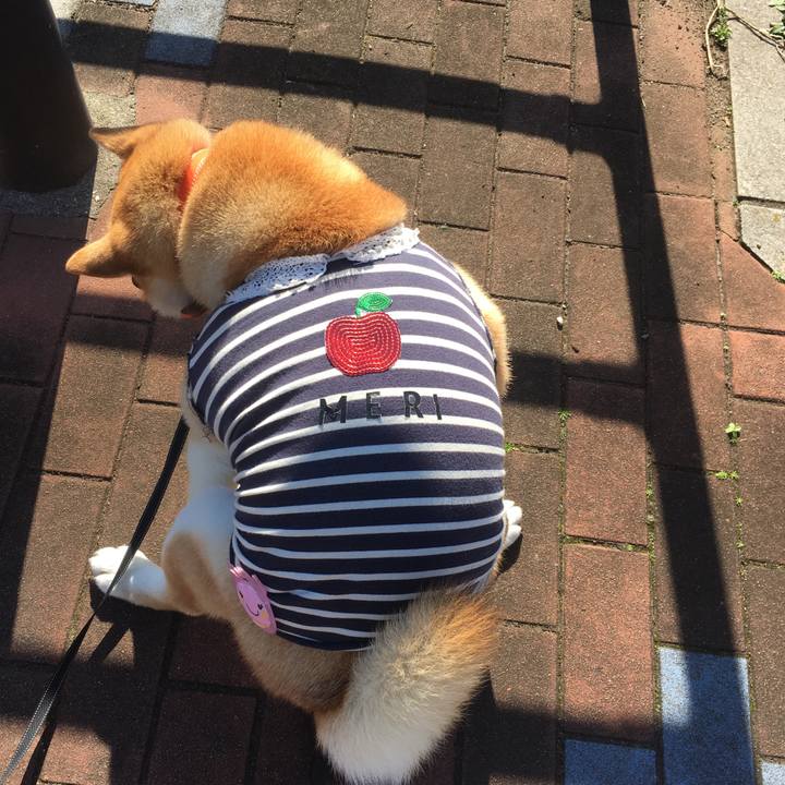 Feee6b0a 3fbd 4f42 8dde 19ca8a999e69 1543545853362