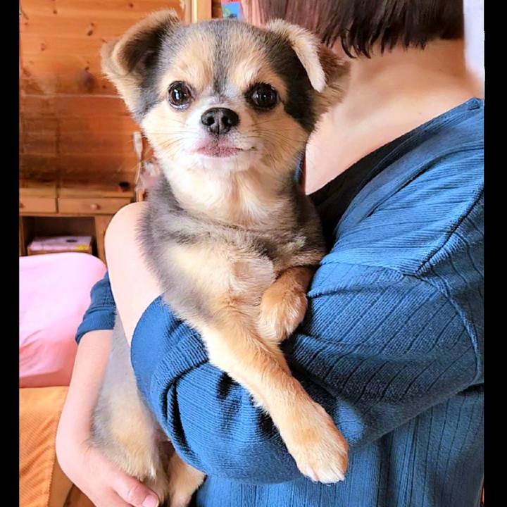 Feee6d97 8d55 46dc 986a bb4a9440ed6e 1758881807844