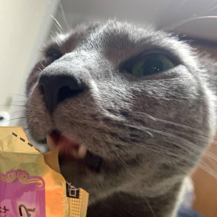 Feee7f2c f44c 4b9b 9447 914345987886 1641267099672