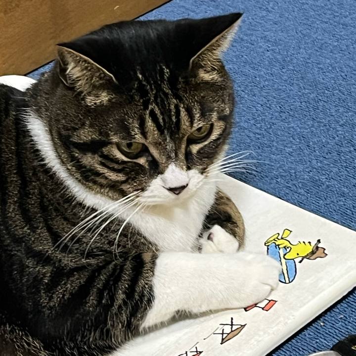 Feeead44 8732 431d a401 76ce24429df9 1766449370094