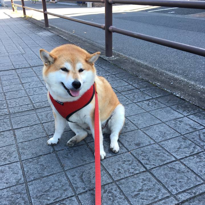 Feeeb072 d859 499f b9c2 7292c3a2a283 1602029405113