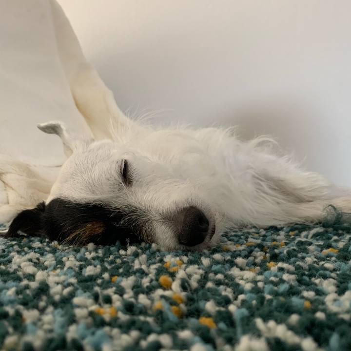 Feeeb1f0 4a8a 4978 ba2b 99b48d18cfa8 1600067197960