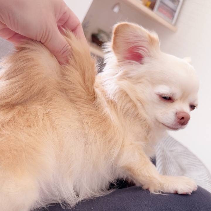 Feeeb938 a3bf 468d b1a0 5a9638c9d6f6 1739683892361