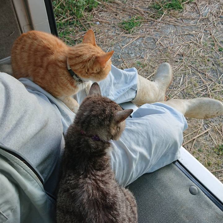 Feeefd13 dbc6 4072 b92f 63450815e52e 1592685493650