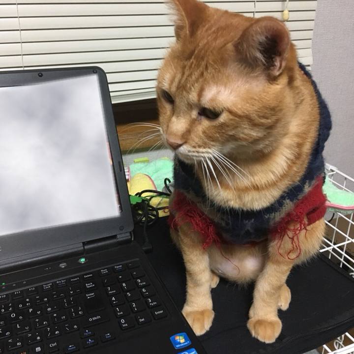 Feef3b51 0ee1 489a ad73 bfbcc3dba1f7 1542141243940