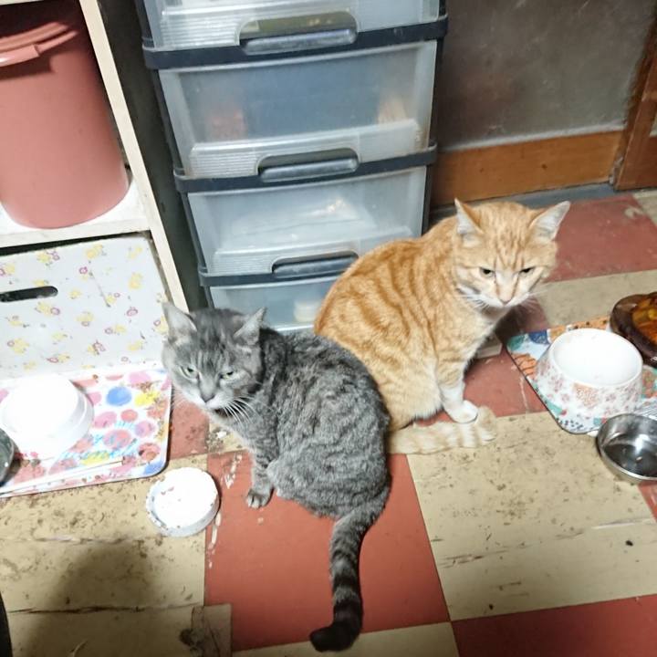 Feef3f63 8f58 453f 9dc7 5ff5ca952df0 1583616167804