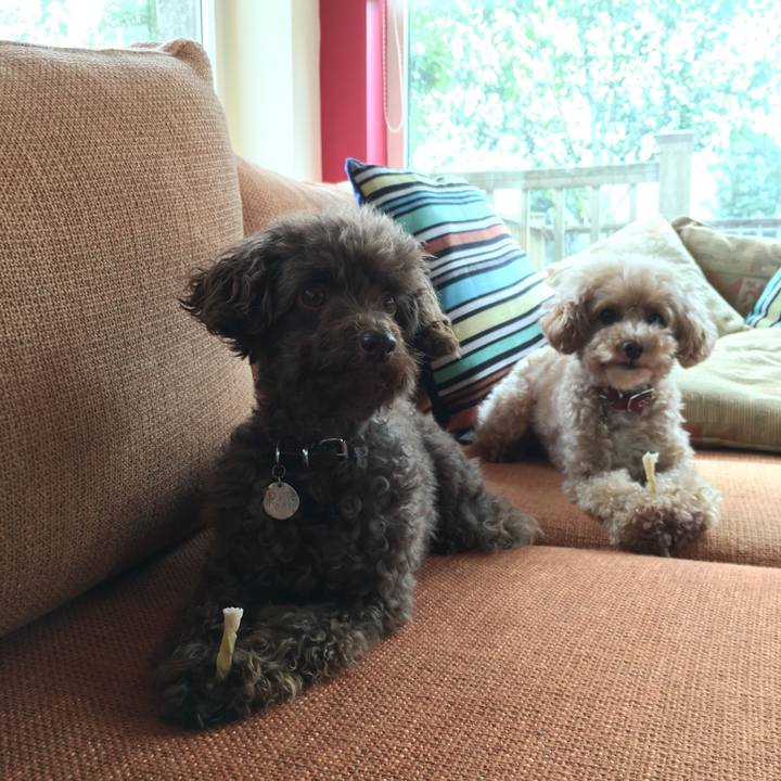 Feef7a2f aa0c 441d 804b 128c32859b10 1567333193629