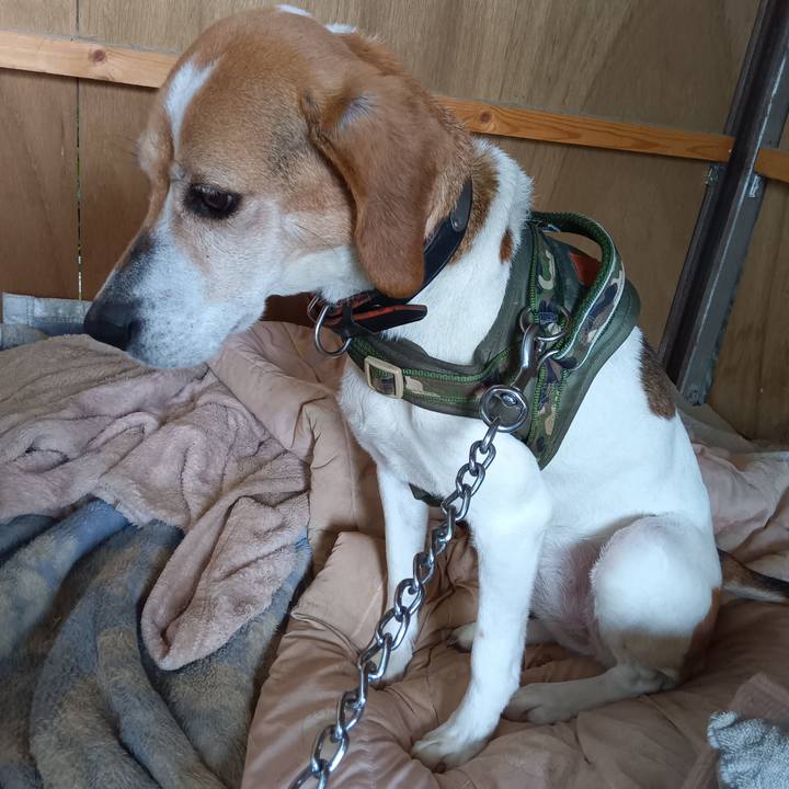 Feefa7f0 ec2f 4842 8014 6b5d571ec280 1714389030785