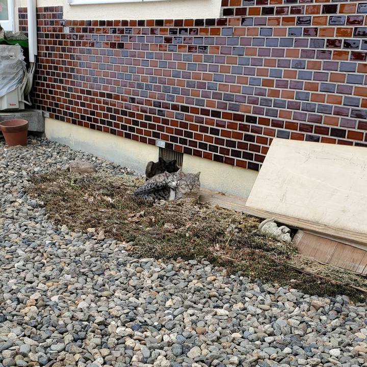 Feefa7f2 c003 4db6 967d 9497d12069bc 1712029260923