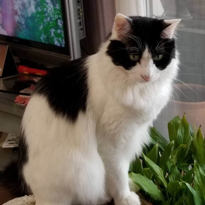 Feefbccf 6382 4148 b0f4 161b45e682b3 1552200201710