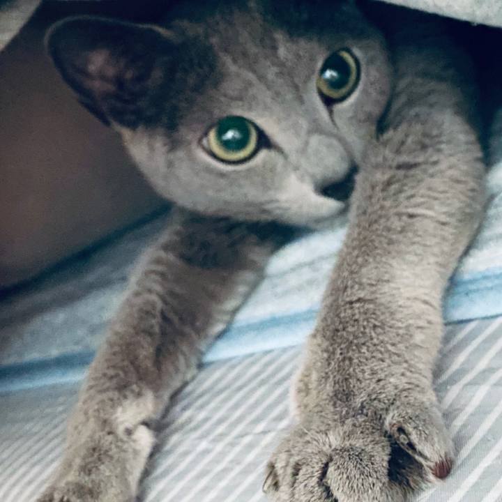 Feefd99e 089d 4110 bfc6 8fdf33a32c0e 1652582346081