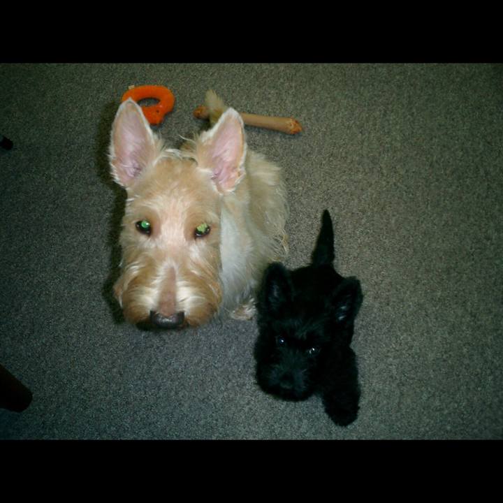 Feeff252 a232 4bfb 8227 a899bb3feeee 1522294234781