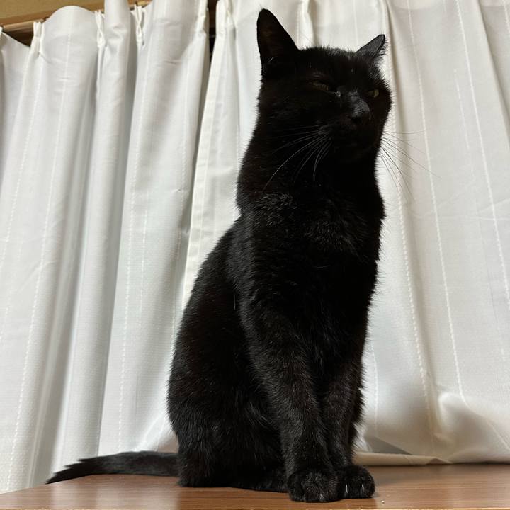 Fef01d16 6b18 455f 863f d3a946b49212 1670381525347