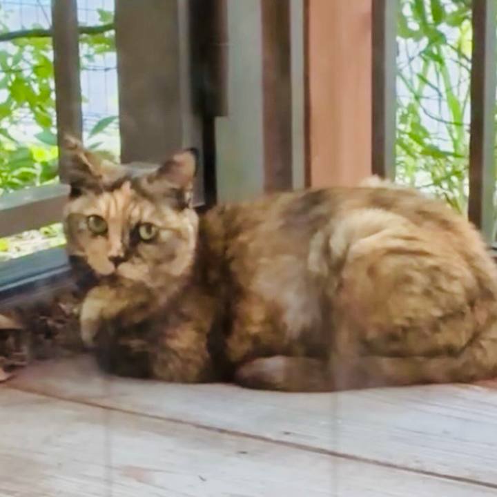 Fef031ca e2bd 4c2d aa80 9b06d3e73483 1758448672664