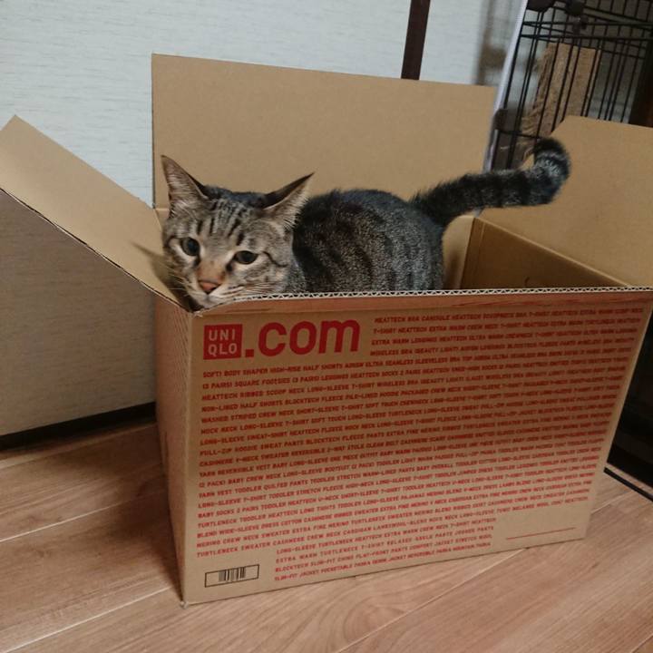 Fef04b2b 1f0f 44ce 9f3b 4fe813ec48f3 1545261591860