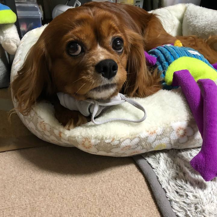 Fef067a4 a843 407b 9ddc 496049f3c698 1604874538253