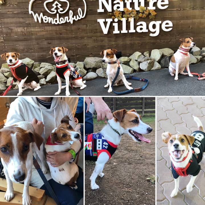 Fef078c4 cb2e 4baf 90be 1e2974694abd 1572874128155