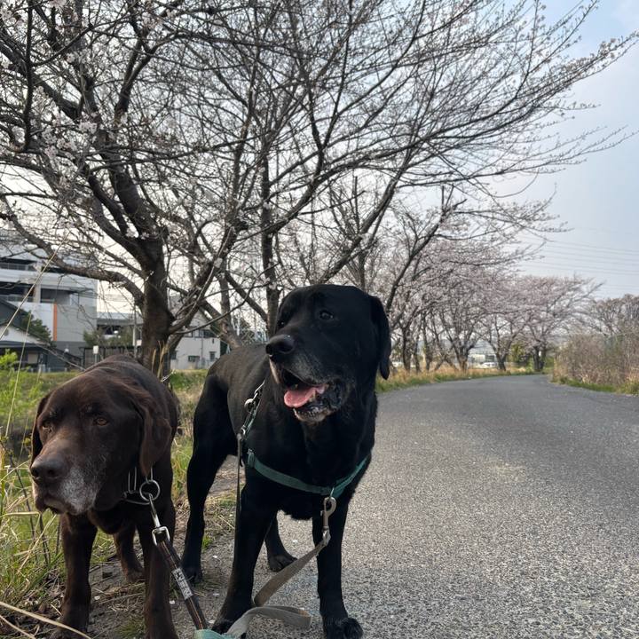 Fef08a02 2ffc 4ce4 899f c3879123d51d 1774698401063