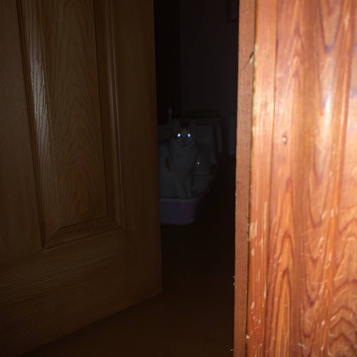 Fef09e2c b0ff 4274 839c d90a113c8727 1644183651025