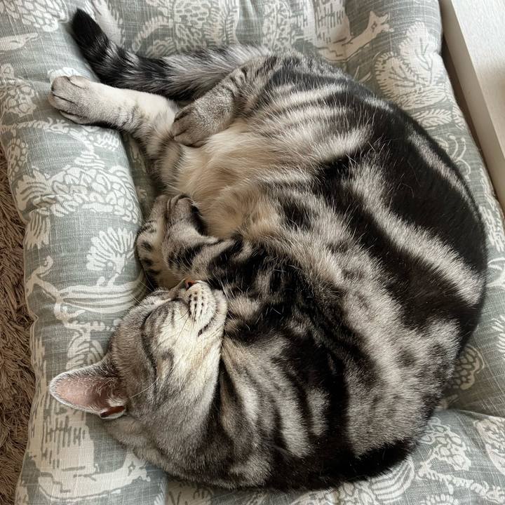 Fef0d3fe 674f 4e38 8e07 759ec53fce88 1764308526380